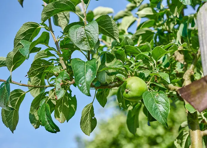 Landfein Haus Villa *