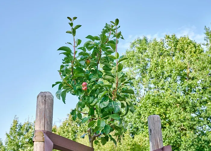 Landfein Haus Villa *