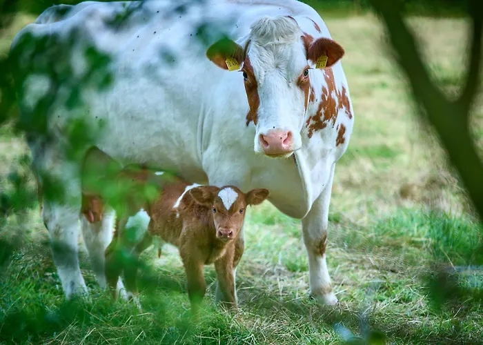 Landfein Haus * Fedderingen